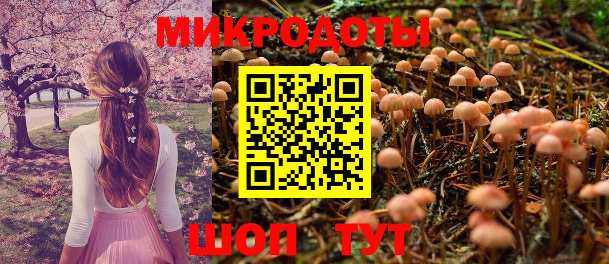 Псилоцибиновые грибы Psilocybe Нефтеюганск