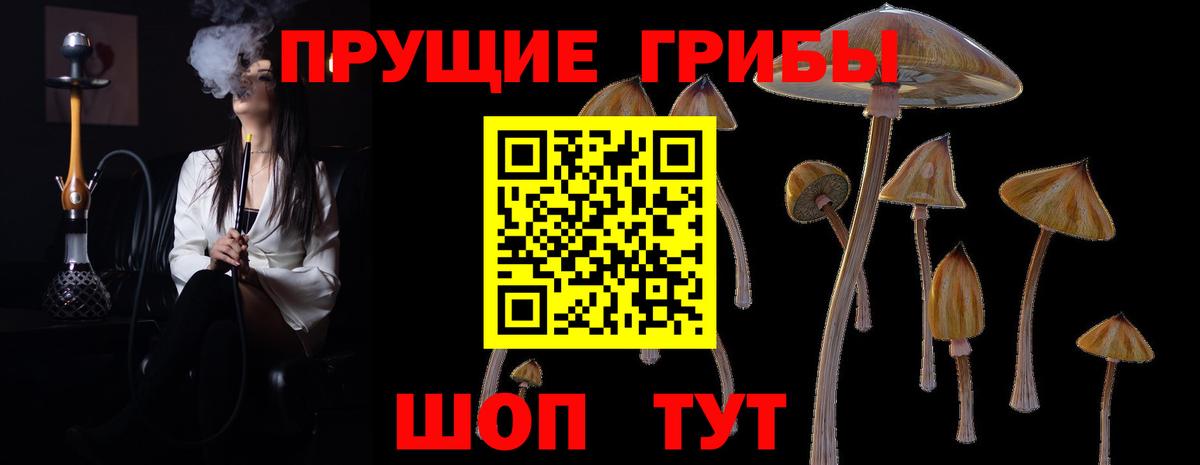 Нефтеюганск  Псилоцибиновые грибы Psilocybe  Вход с VPN 